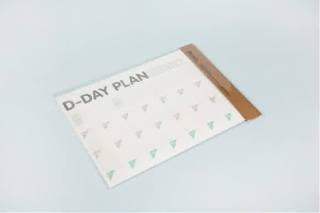 D - DAY 100 PLANNER 1